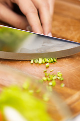 Image showing close up of woman chopping green onion with knife