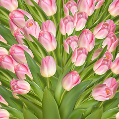 Image showing Beautiful realistic tulip background. EPS 10