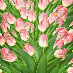 Image showing Greeting card with tulips flowers. EPS 10