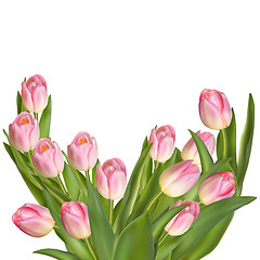 Image showing Tulips on a white background. EPS 10