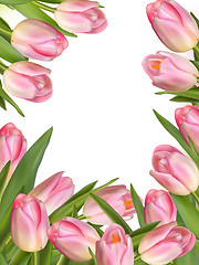 Image showing Tulip flowers forming an abstract border. EPS 10