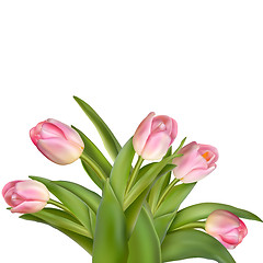 Image showing Bouquet of pink tulips isolated over white. EPS 10