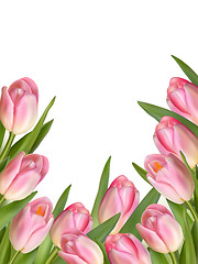 Image showing Tulip flowers forming an abstract border. EPS 10