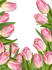 Image showing Tulip flowers forming an abstract border. EPS 10