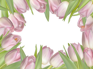 Image showing Pink fresh spring flowers background. EPS 10