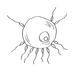 Image showing sperm and egg
