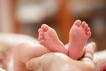 Image showing Mother holds in his hands a small baby foots