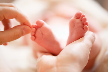 Image showing Mother holds in his hands a small baby foots