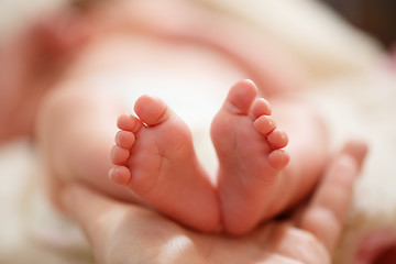 Image showing Mother holds in his hands a small baby foots