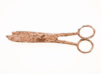 Image showing  Rusted scissors vintage