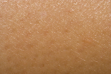 Image showing Human skin pattern