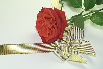 Image showing red rose and golden ribbon