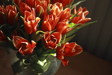 Image showing bunch of red tulips with the natural light on them
