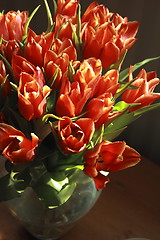 Image showing bunch of red tulips with the natural light on them