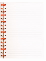 Image showing  Blank notebook page vintage