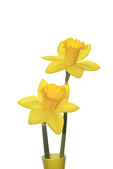 Image showing two yellow daffodils