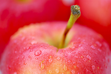 Image showing Red apples macro