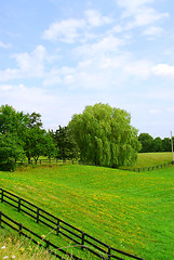 Image showing Rural landscape