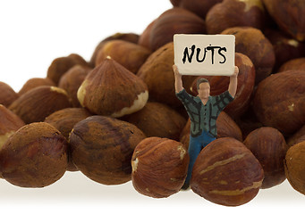 Image showing Miniature worker working with hazelnuts