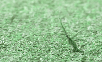 Image showing Broken fiber in carpet texture close-up