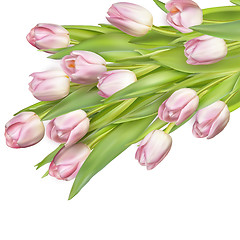 Image showing Beautiful bouquet of pink tulips. EPS 10