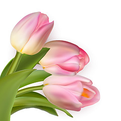 Image showing Beautiful bouquet of pink tulips. EPS 10