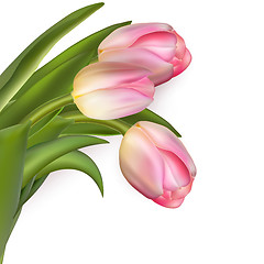 Image showing Beautiful bouquet of pink tulips. EPS 10