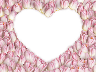 Image showing Heart shaped tulip. EPS 10