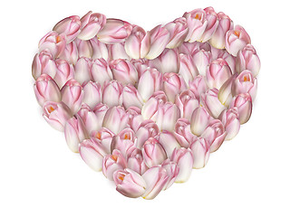 Image showing Heart shaped tulip. EPS 10