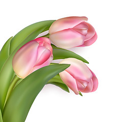 Image showing Beautiful bouquet of pink tulips. EPS 10