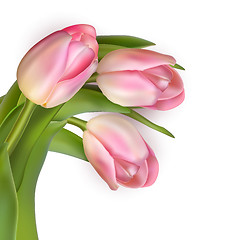 Image showing Beautiful bouquet of pink tulips. EPS 10