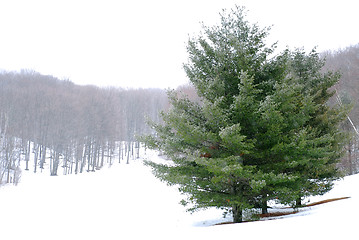 Image showing Winter landscape