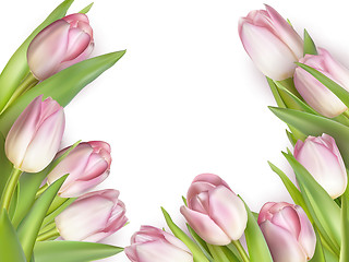 Image showing Tulips design template or background. EPS 10