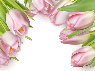 Image showing Pink fresh tulips on white. EPS 10