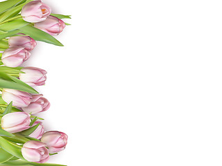 Image showing Beautiful bouquet of pink tulips. EPS 10