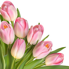 Image showing Tulips design template or background. EPS 10