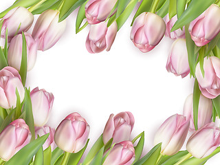 Image showing Pink fresh tulips on white. EPS 10