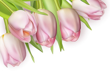 Image showing Bouquet of pink tulips. EPS 10