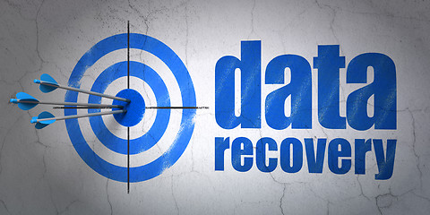 Image showing Data concept: target and Data Recovery on wall background
