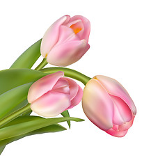 Image showing Beautiful bouquet of pink tulips. EPS 10