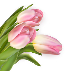 Image showing Beautiful bouquet of pink tulips. EPS 10