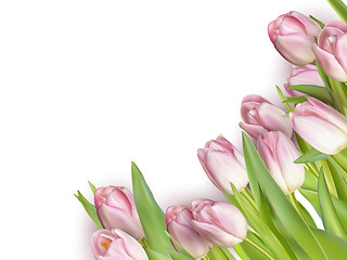 Image showing Tulips isolated on white. EPS 10