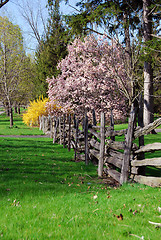 Image showing Spring landscape