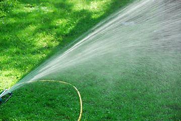 Image showing Sprinkler on lawn