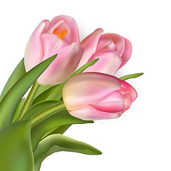 Image showing Beautiful bouquet of pink tulips. EPS 10