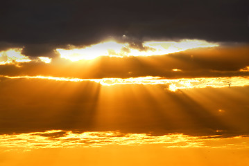 Image showing Sun rays