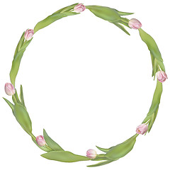 Image showing Circle frame with tulips flowers. EPS 10
