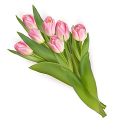 Image showing Tulips isolated on white background. EPS 10