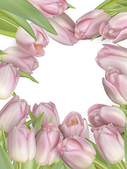 Image showing Tulip flowers border. EPS 10