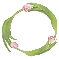 Image showing Circle frame with tulips flowers. EPS 10